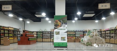 貴州戶戶達(dá) 以農(nóng)產(chǎn)品展示體驗(yàn)中心為橋，守護(hù)家鄉(xiāng)風(fēng)味，服務(wù)會(huì)務(wù)展覽